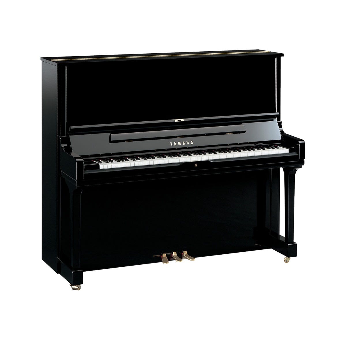 Polished ebony new arrivals